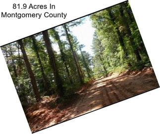 81.9 Acres In Montgomery County