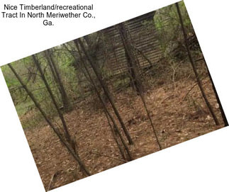 Nice Timberland/recreational Tract In North Meriwether Co., Ga.