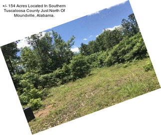 +/- 154 Acres Located In Southern Tuscaloosa County Just North Of Moundville, Alabama.