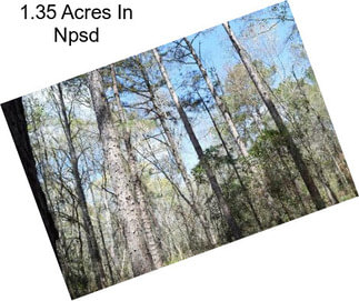 1.35 Acres In Npsd