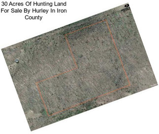 30 Acres Of Hunting Land For Sale By Hurley In Iron County