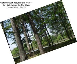 Waterfront Lot, #55, In Black Warrior Bay Subdivision On The Black Warrior River Hale Co