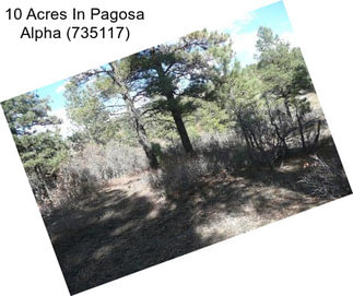 10 Acres In Pagosa Alpha (735117)