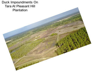 Duck Impoundments On Tara At Pleasant Hill Plantation
