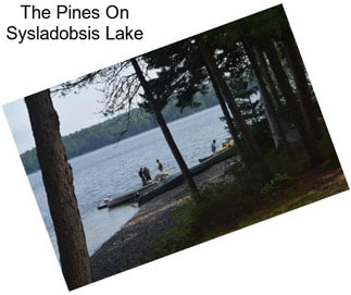 The Pines On Sysladobsis Lake