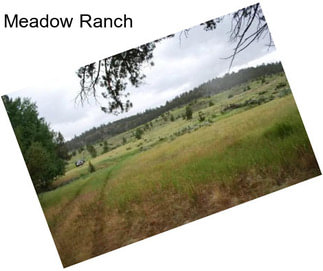 Meadow Ranch