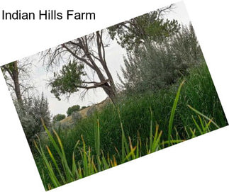 Indian Hills Farm