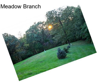 Meadow Branch