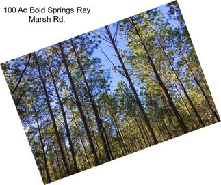 100 Ac Bold Springs Ray Marsh Rd.