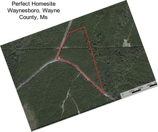 Perfect Homesite Waynesboro, Wayne County, Ms