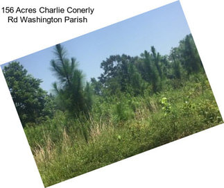 156 Acres Charlie Conerly Rd Washington Parish