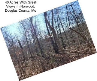 40 Acres With Great Views In Norwood, Douglas County, Mo