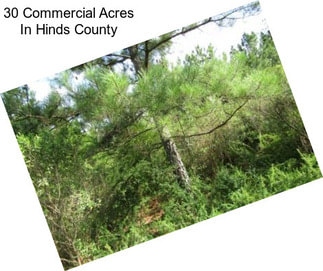 30 Commercial Acres In Hinds County