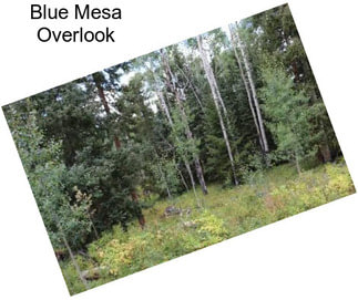 Blue Mesa Overlook