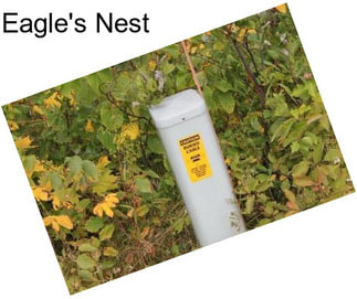 Eagle\'s Nest