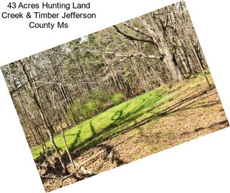 43 Acres Hunting Land Creek & Timber Jefferson County Ms