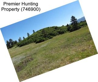 Premier Hunting Property (746900)