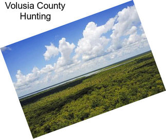 Volusia County Hunting