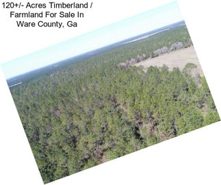 120+/- Acres Timberland / Farmland For Sale In Ware County, Ga