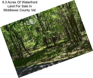 9.3 Acres Of Waterfront Land For Sale In Middlesex County Va!