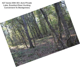 427 Acres With 90+ Acre Private Lake, Excellent Deer Hunting Convenient To Montgomery