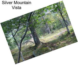Silver Mountain Vista
