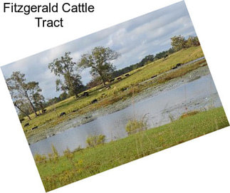 Fitzgerald Cattle Tract