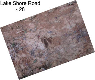 Lake Shore Road - 28