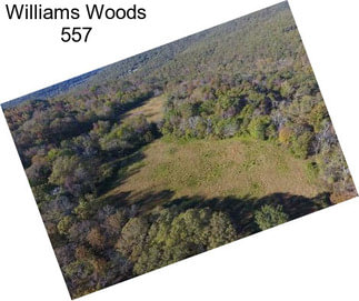 Williams Woods 557