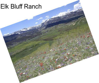 Elk Bluff Ranch