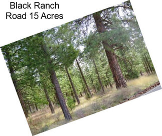 Black Ranch Road 15 Acres