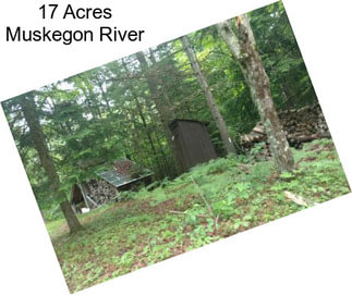 17 Acres Muskegon River