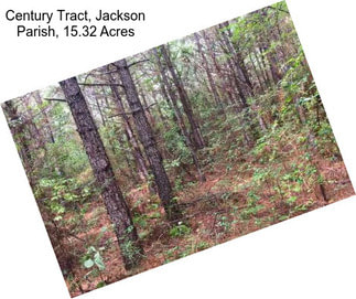 Century Tract, Jackson Parish, 15.32 Acres