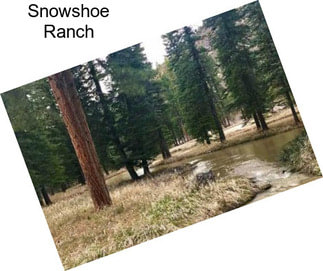 Snowshoe Ranch