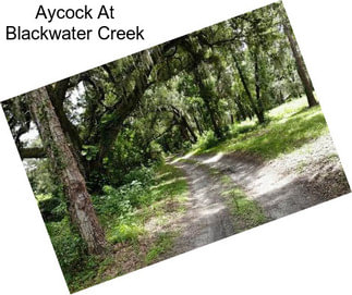 Aycock At Blackwater Creek