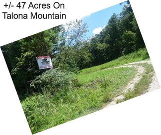 +/- 47 Acres On Talona Mountain