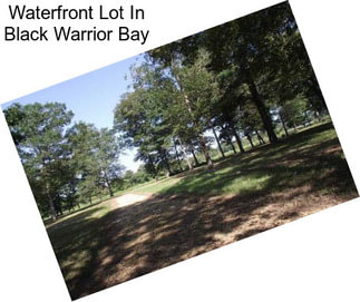 Waterfront Lot In Black Warrior Bay