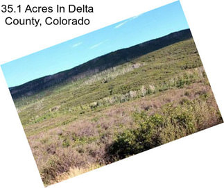 35.1 Acres In Delta County, Colorado