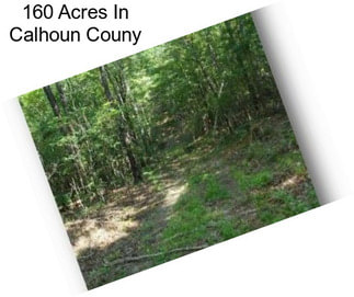 160 Acres In Calhoun Couny