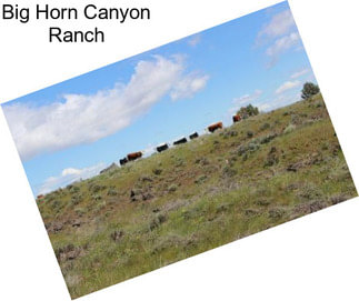 Big Horn Canyon Ranch