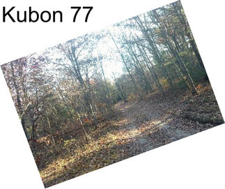 Kubon 77