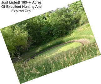 Just Listed! 160+/- Acres Of Excellent Hunting And Expired Crp!
