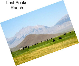 Lost Peaks Ranch