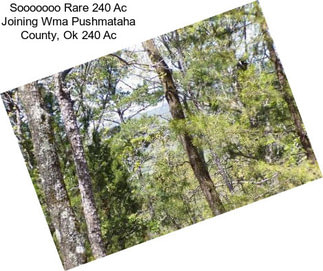 Sooooooo Rare 240 Ac Joining Wma Pushmataha County, Ok 240 Ac