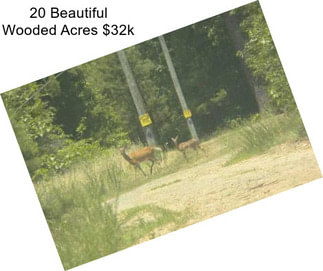 20 Beautiful Wooded Acres $32k