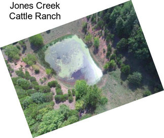 Jones Creek Cattle Ranch