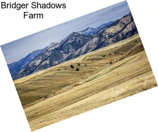 Bridger Shadows Farm