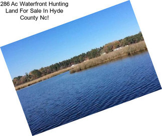 286 Ac Waterfront Hunting Land For Sale In Hyde County Nc!
