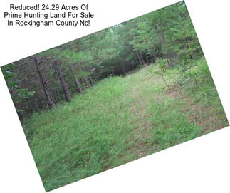Reduced! 24.29 Acres Of Prime Hunting Land For Sale In Rockingham County Nc!