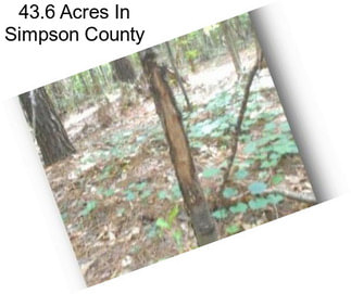 43.6 Acres In Simpson County